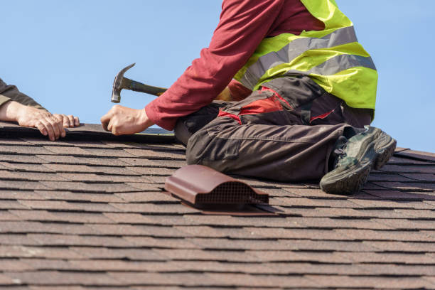 Best Metal Roofing Contractor  in Jasmine Estates, FL