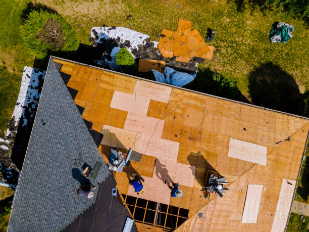 Quick and Trustworthy Emergency Roof Repair Services in Jasmine Estates, FL