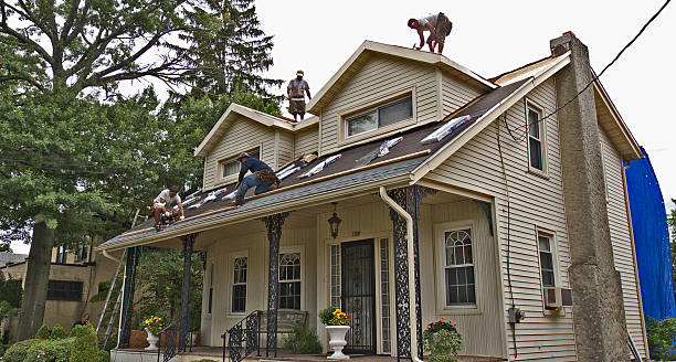 Best Storm Damage Roof Repair  in Jasmine Estates, FL
