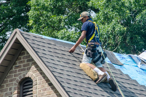 Best New Roof Installation  in Jasmine Estates, FL
