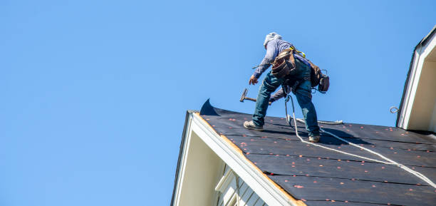 Best Roof Gutter Cleaning  in Jasmine Estates, FL
